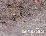 ������������������� ��������������ѩ
