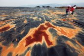 ���Ϲ�����ʡ�ؽ�����������������������Ⱦ