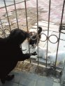 ����һ��԰��è�������Űɱ ʬ�屻���ⶪ��