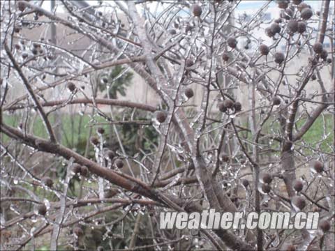 ���������ȵ���תѩ �Ϸ����꽵�³�10��