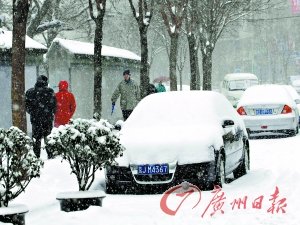 δ��3���ҹ�����ӭ����Χ��ѩ����
